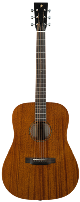 Prodipe, STOCK B SD250 Dreadnought ALL SOLID Acajou