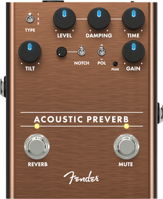 Fender Acoustic Preverb