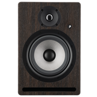 Prodipe 6.5'' - 105 watts bi-amplifiée ROSEWOOD (Unitaire)