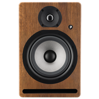 Prodipe 6.5'' - 105 watts bi-amplifiée WALNUT WOOD (Unitaire)