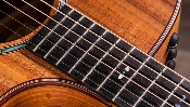 Taylor, 724ce KOA(select)