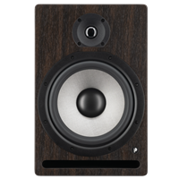 Prodipe 8'' - 140 watts bi-amplifiée ROSEWOOD (Unitaire)