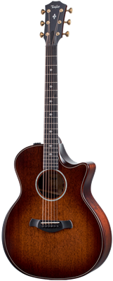 Taylor, 324ce Builder Edition