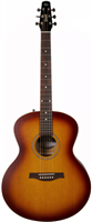 SEAGULL, Entourage MJ Rustic Burst